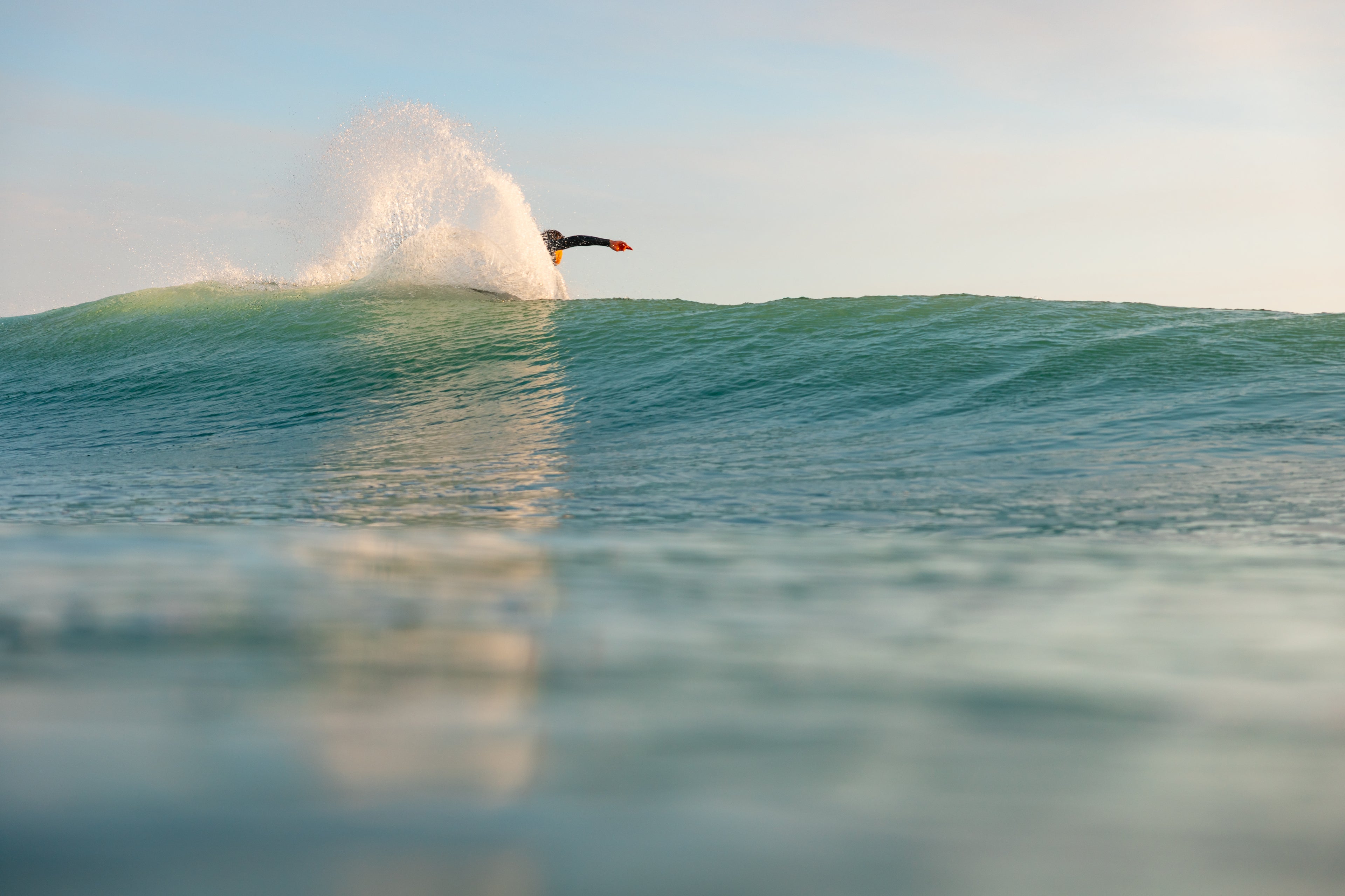 Surfer carving on a clean blue wave under a clear sky at sunrise or sunset
